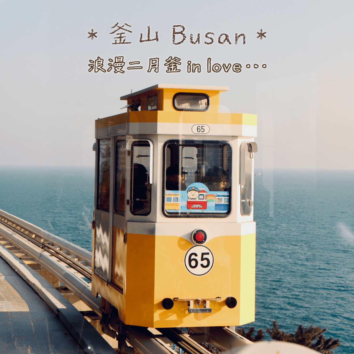 應用範例 5