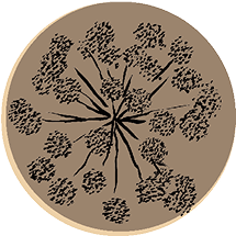 sticker-5